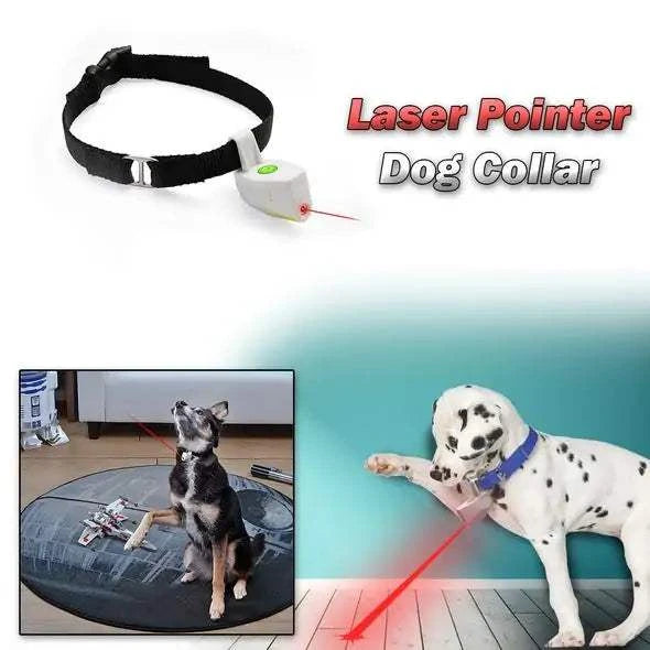 pet collar