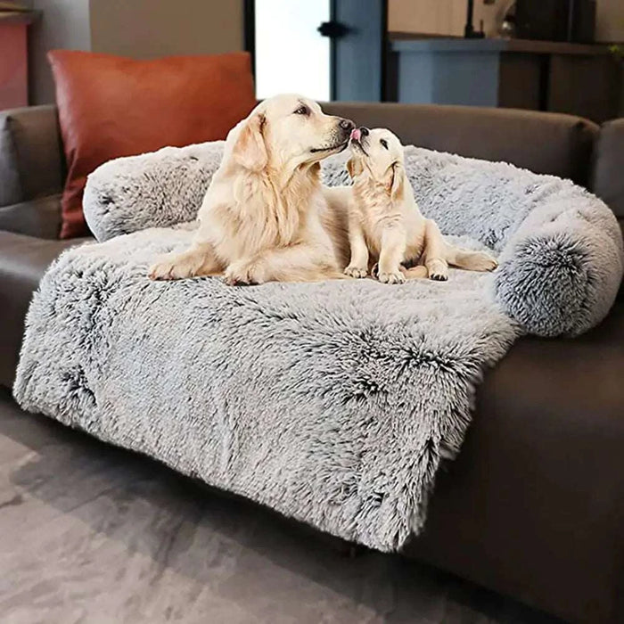 pet bed