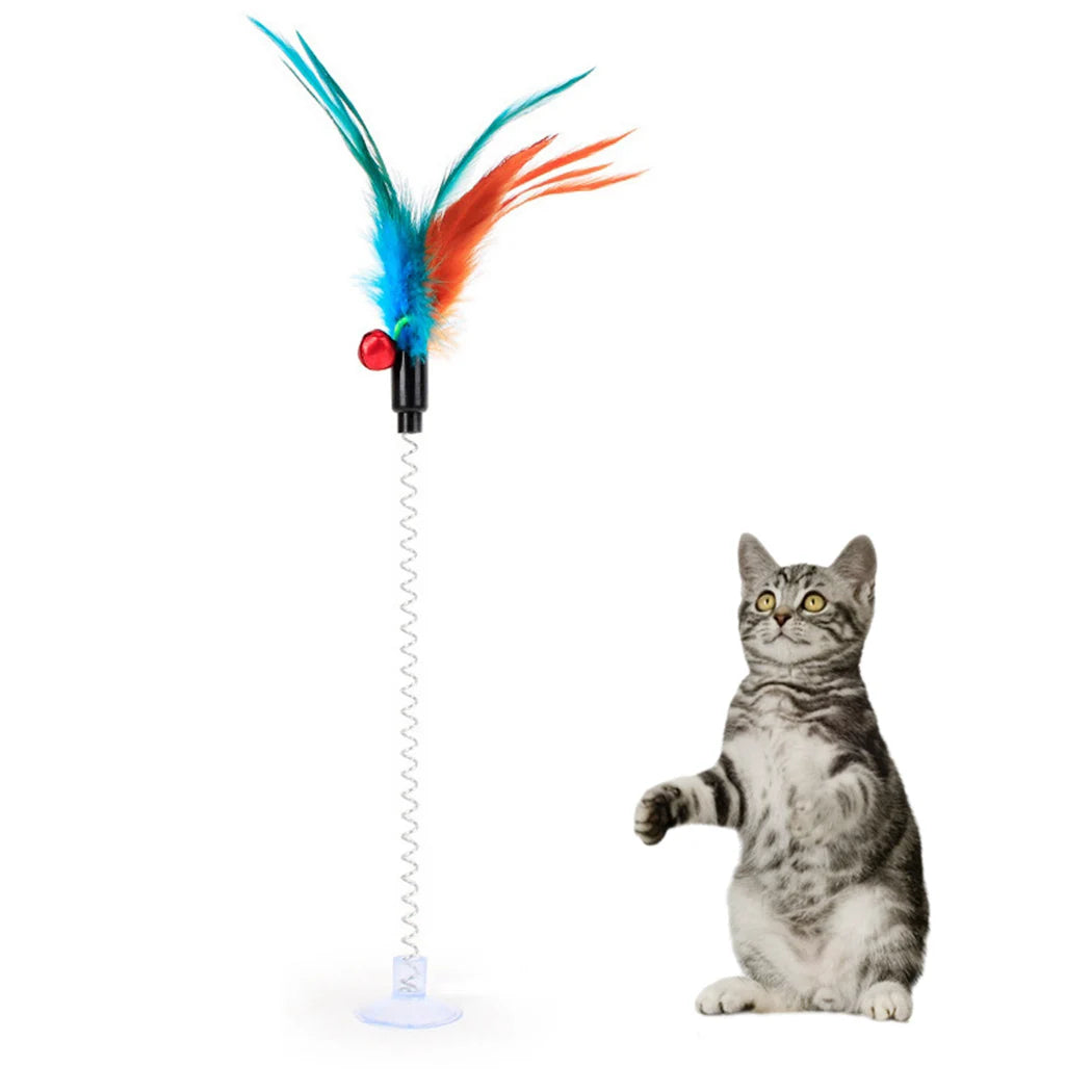 Cat Toy