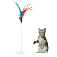 Cat Toy