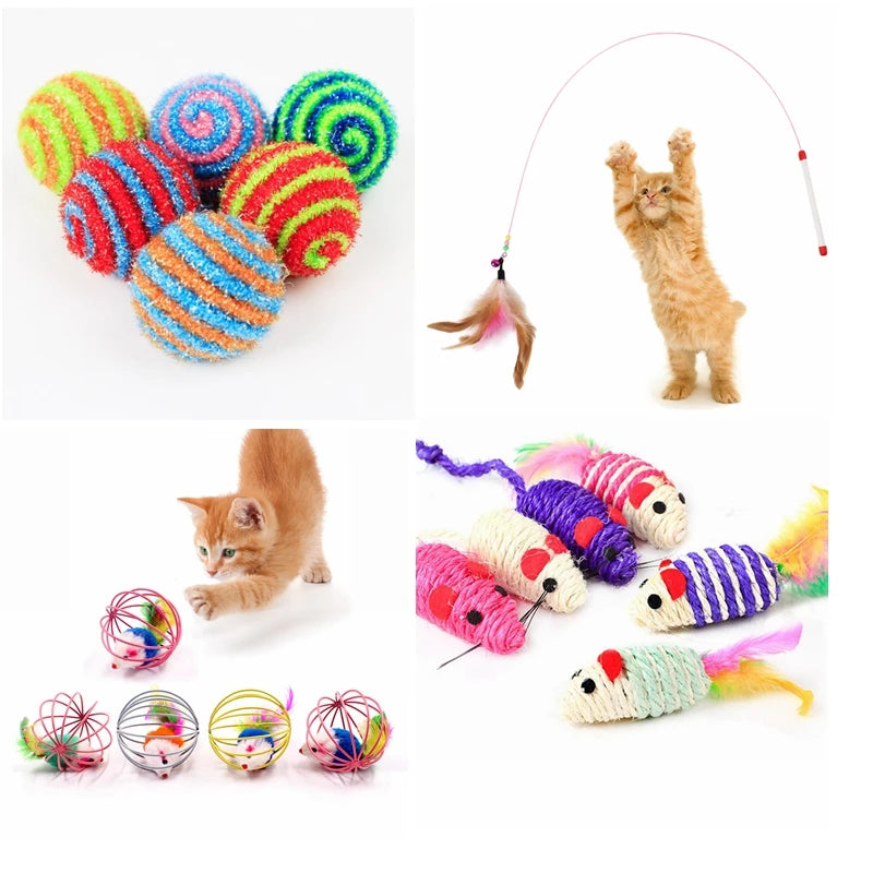 Cat Toy