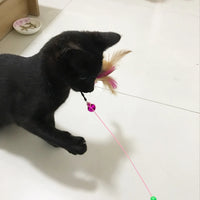 Cat Toy