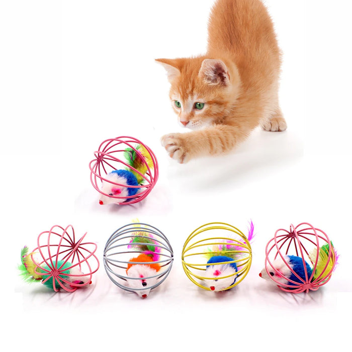 Cat Toy