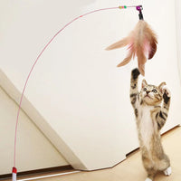 Cat Toy