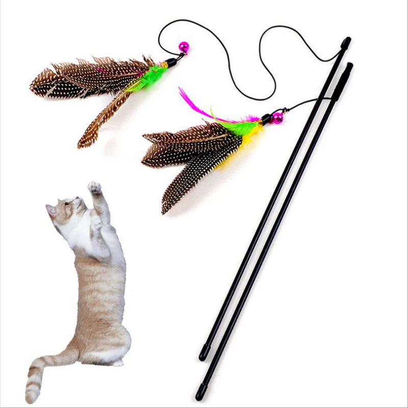 Cat Toy