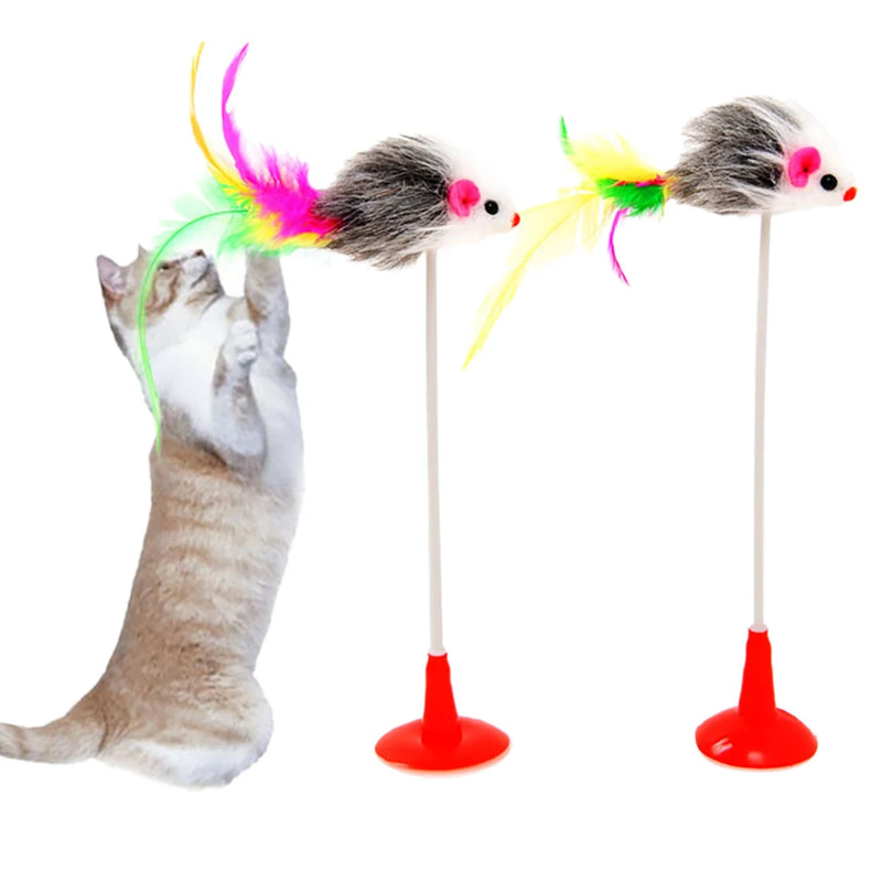 Cat Toy