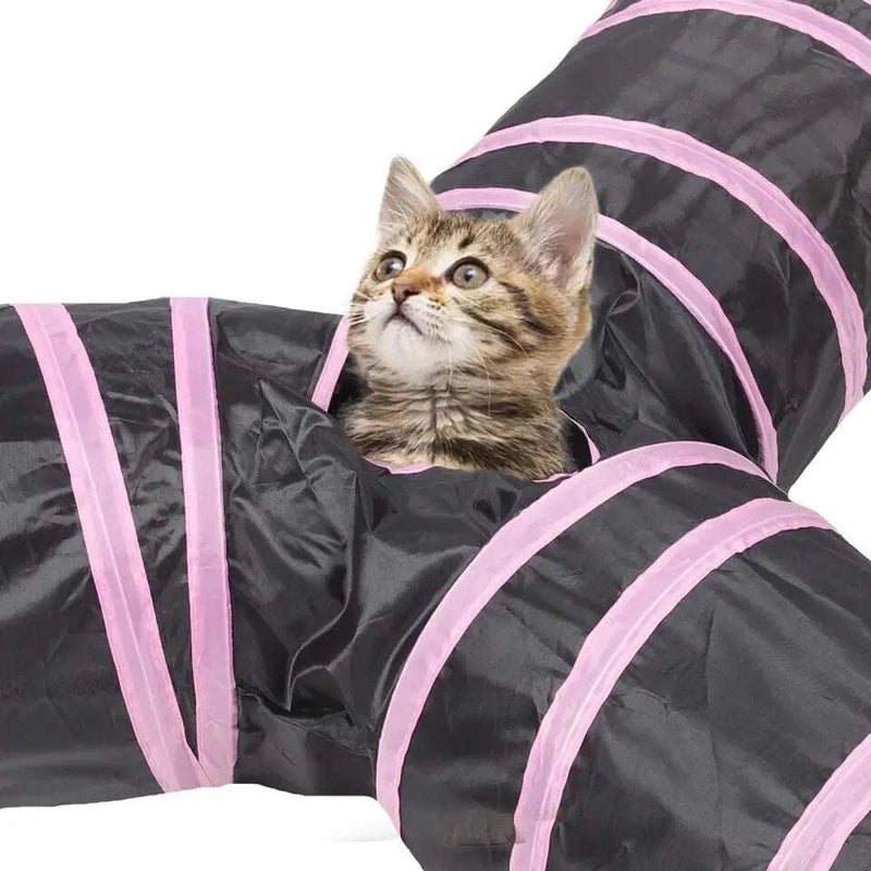 Cat Tunnel