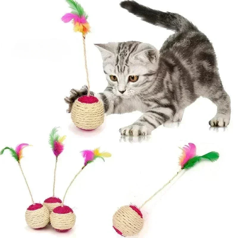 Cat Toy