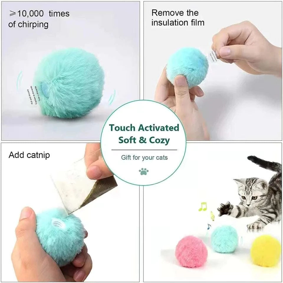 cat toy