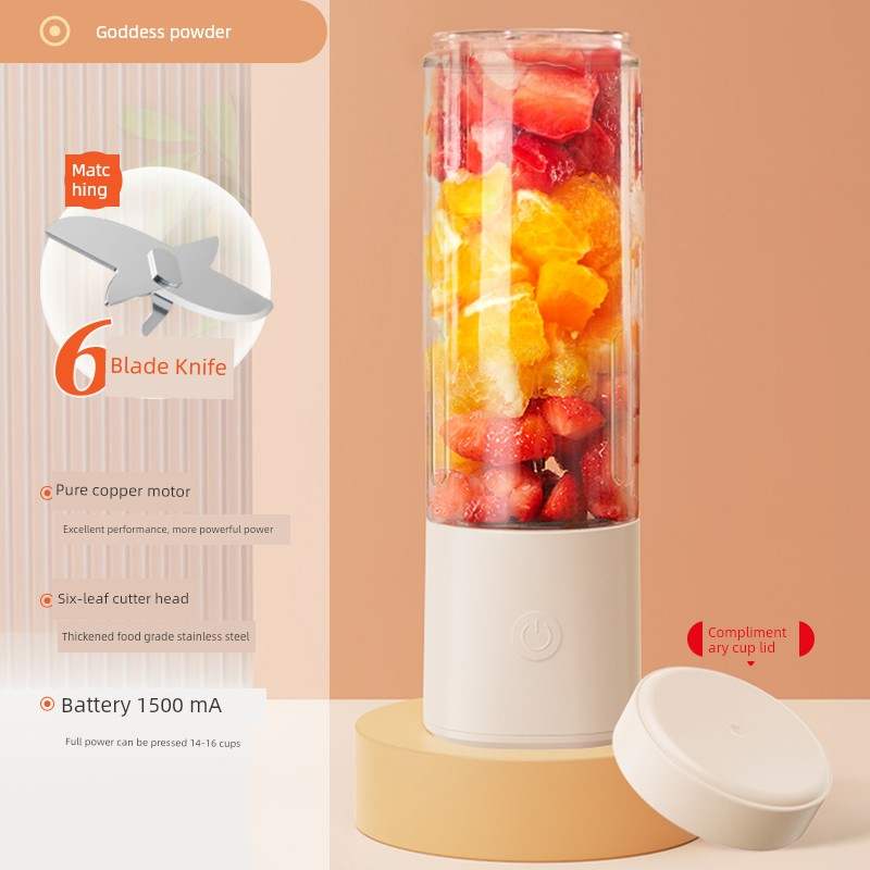 fruit juicer