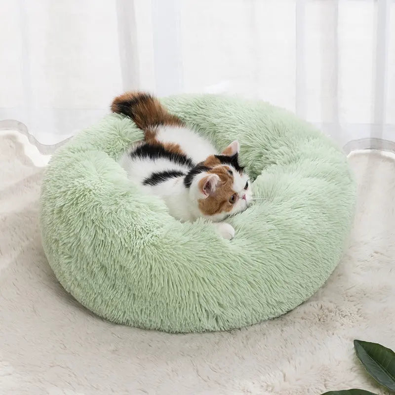 Pet Bed