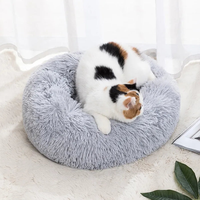 Pet Bed