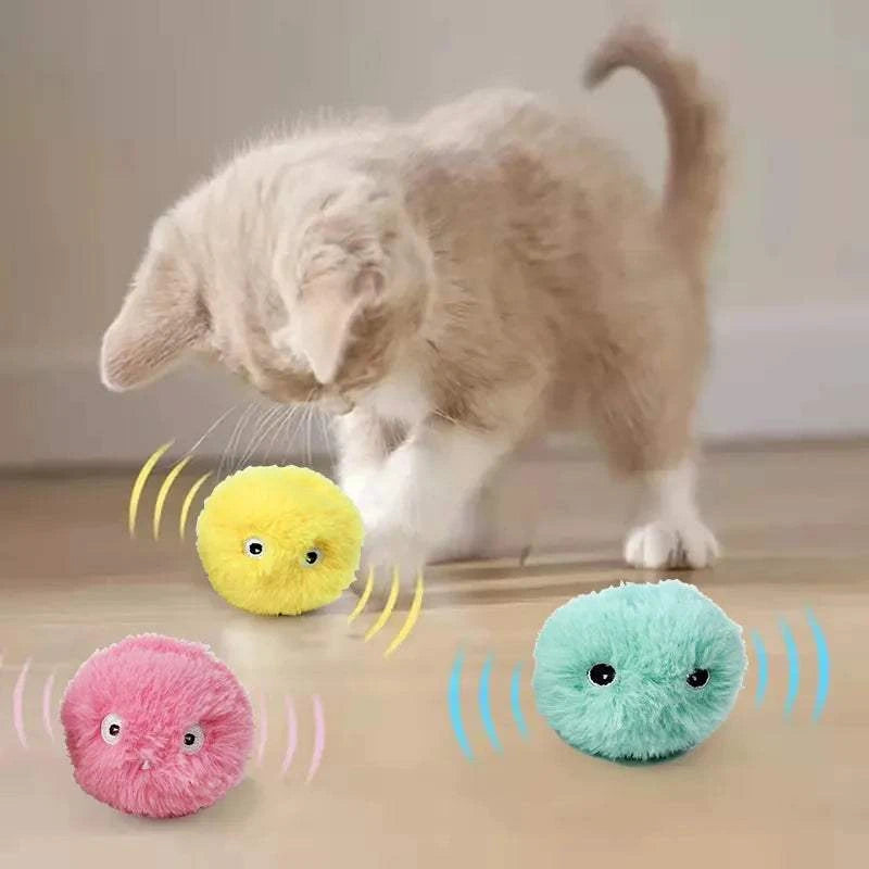 cat toy