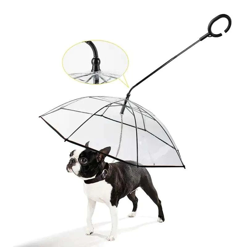 pet umbrella