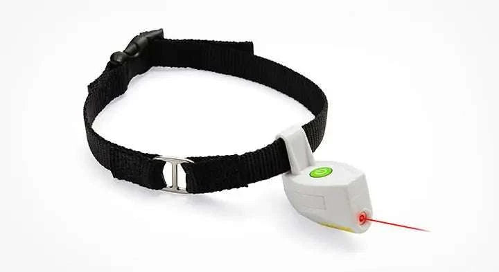 pet collar