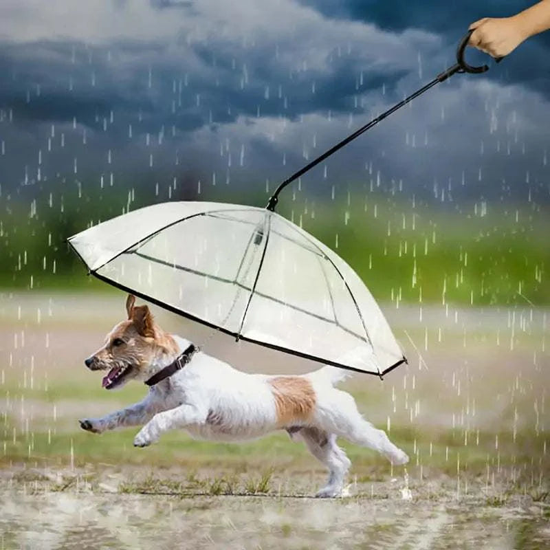 pet umbrella