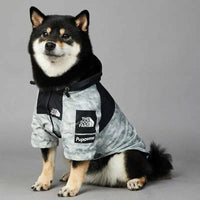 pet waterproof jacket